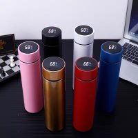 Stainless Steel Temperature Bottle (500ml)